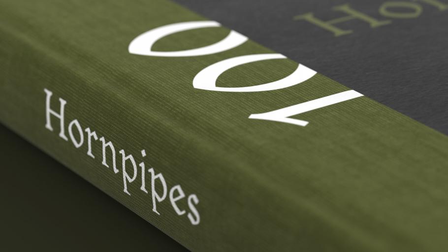 100 Tunes: Detail Buchrücken